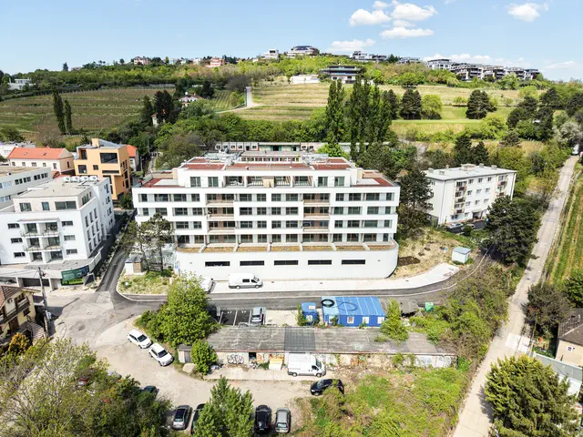 Bytový dom spredu, nad ním vinice pod Kolibou